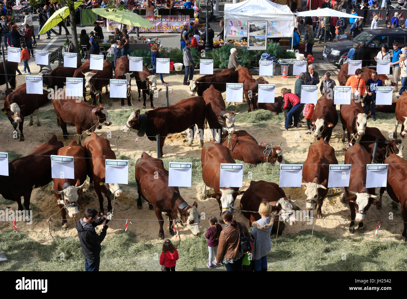 La foire agricole (Comice Agricole) de Saint-Gervais-les-Bains. La France. Banque D'Images