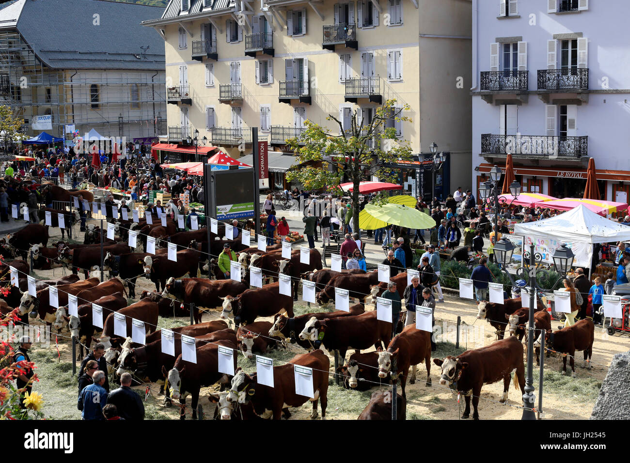 La foire agricole (Comice Agricole) de Saint-Gervais-les-Bains. La France. Banque D'Images