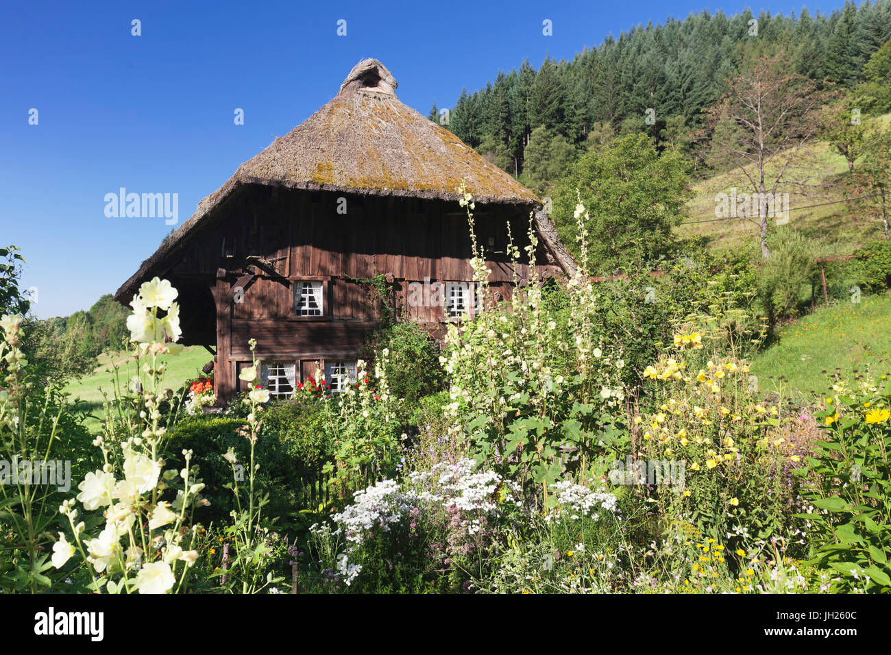 Landwasserhof Mill, ferme, jardin, Elzach, Forêt Noire, Bade-Wurtemberg, Allemagne, Europe Banque D'Images