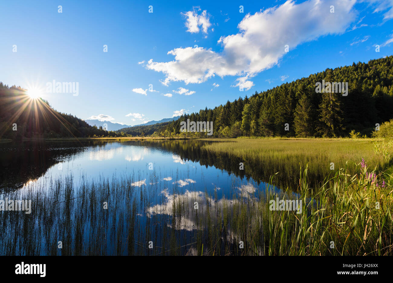 Les feux de l'aube le marais de la Réserve Naturelle de Pian di Gembro, Aprica, province de Sondrio, Valtellina, Lombardie, Italie, Europe Banque D'Images