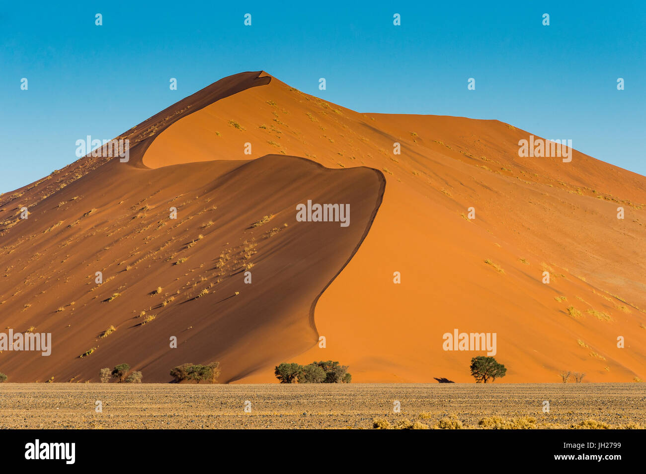 Giant Sand Dune 45, Sossusvlei, Namib-Naukluft National Park, Namibie, Afrique Banque D'Images