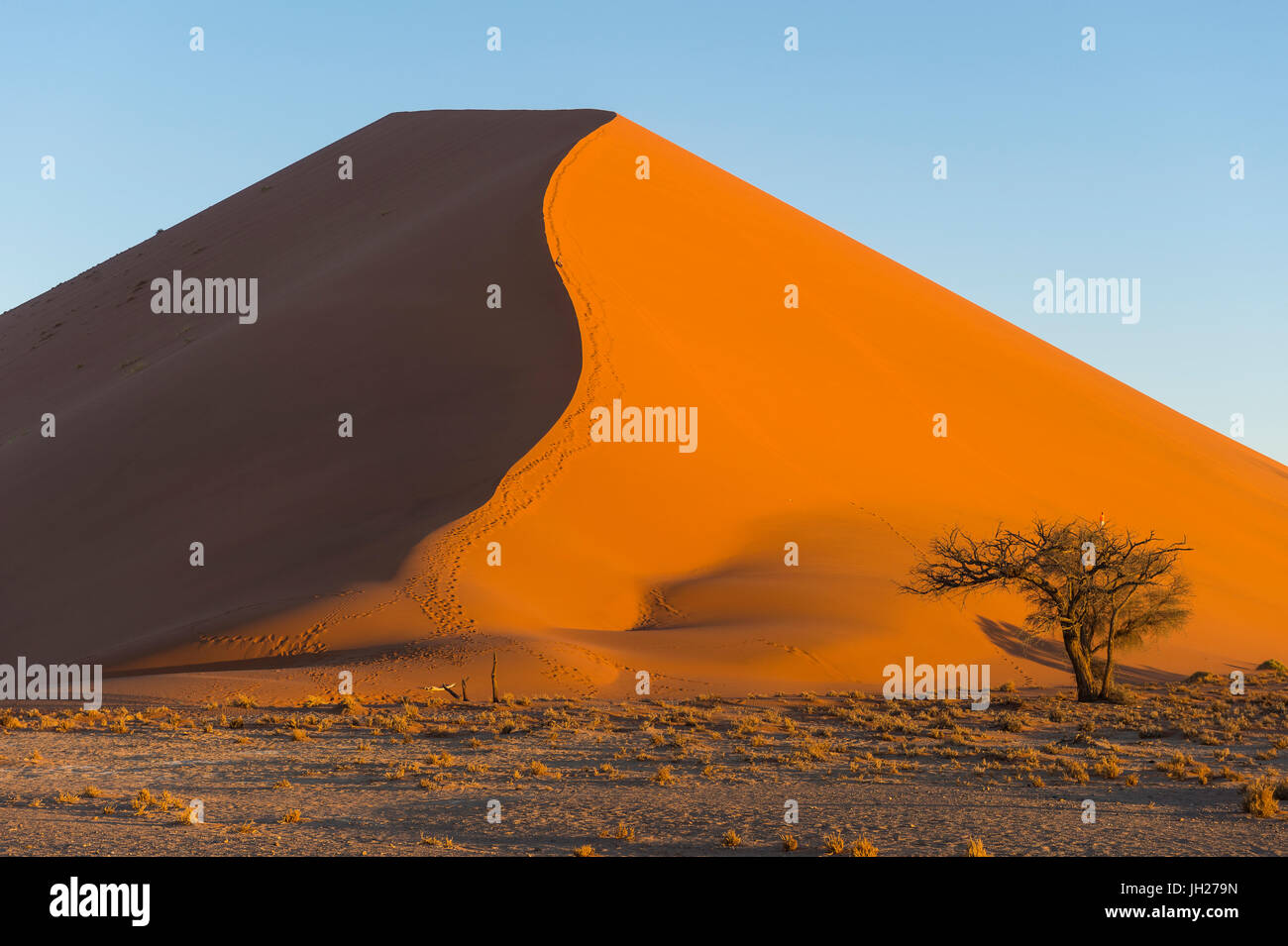 Giant Sand Dune 45, Sossusvlei, Namib-Naukluft National Park, Namibie, Afrique Banque D'Images