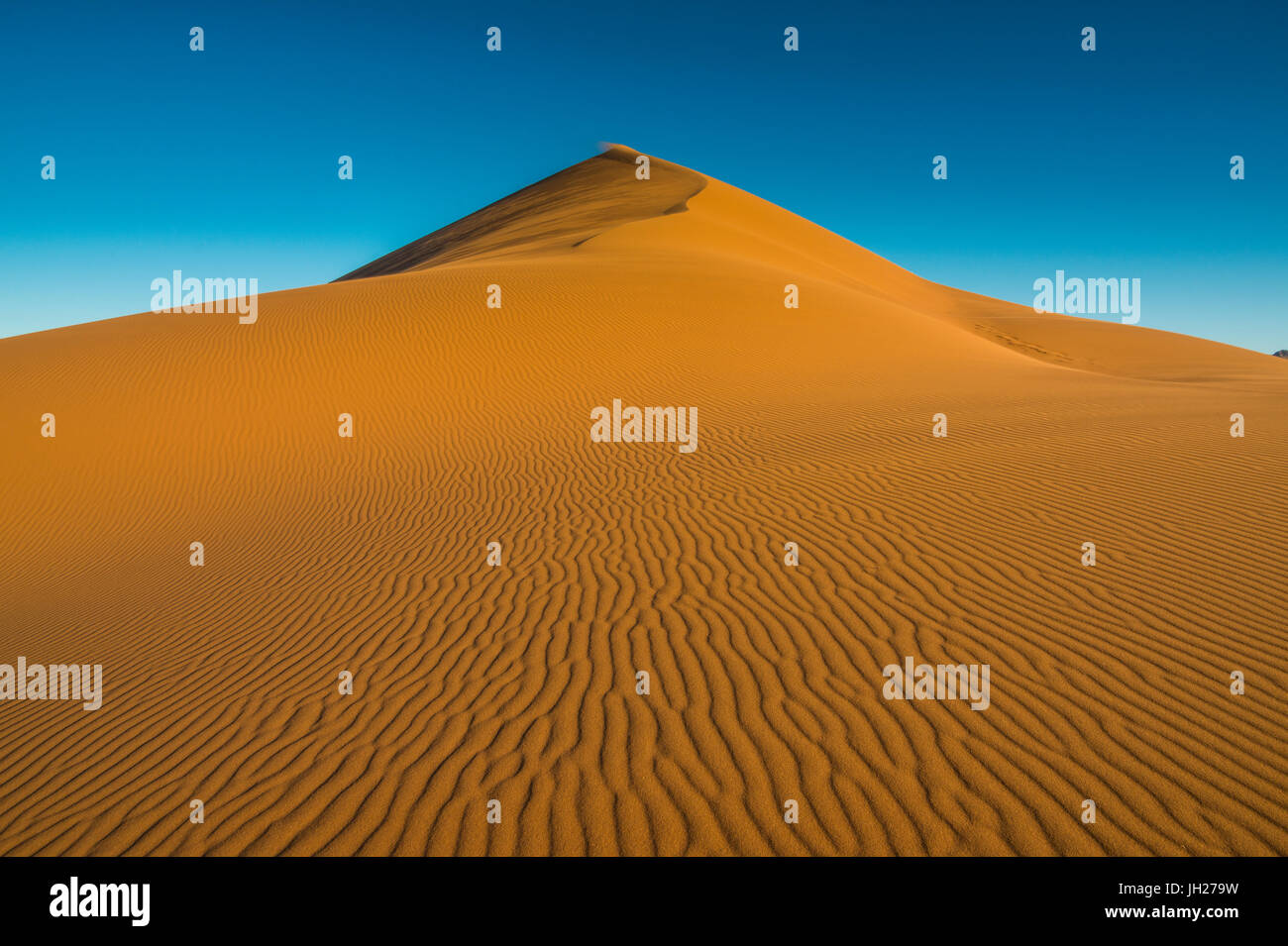 La Dune de sable géant 45, Sossusvlei, Namib-Naukluft National Park, Namibie, Afrique Banque D'Images