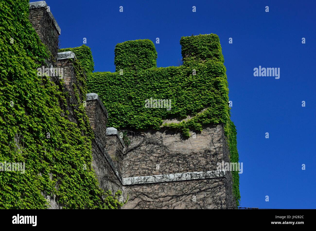 De belles plantes sur un bâtiment, la ville de Rome, Italie Banque D'Images
