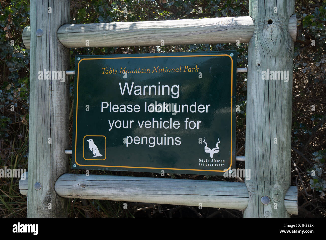 Panneau d'avertissement à vérifier pour les pingouins sous votre véhicule, parking, près de Boulders Beach, Cape Town, Afrique du Sud, l'Afrique Banque D'Images