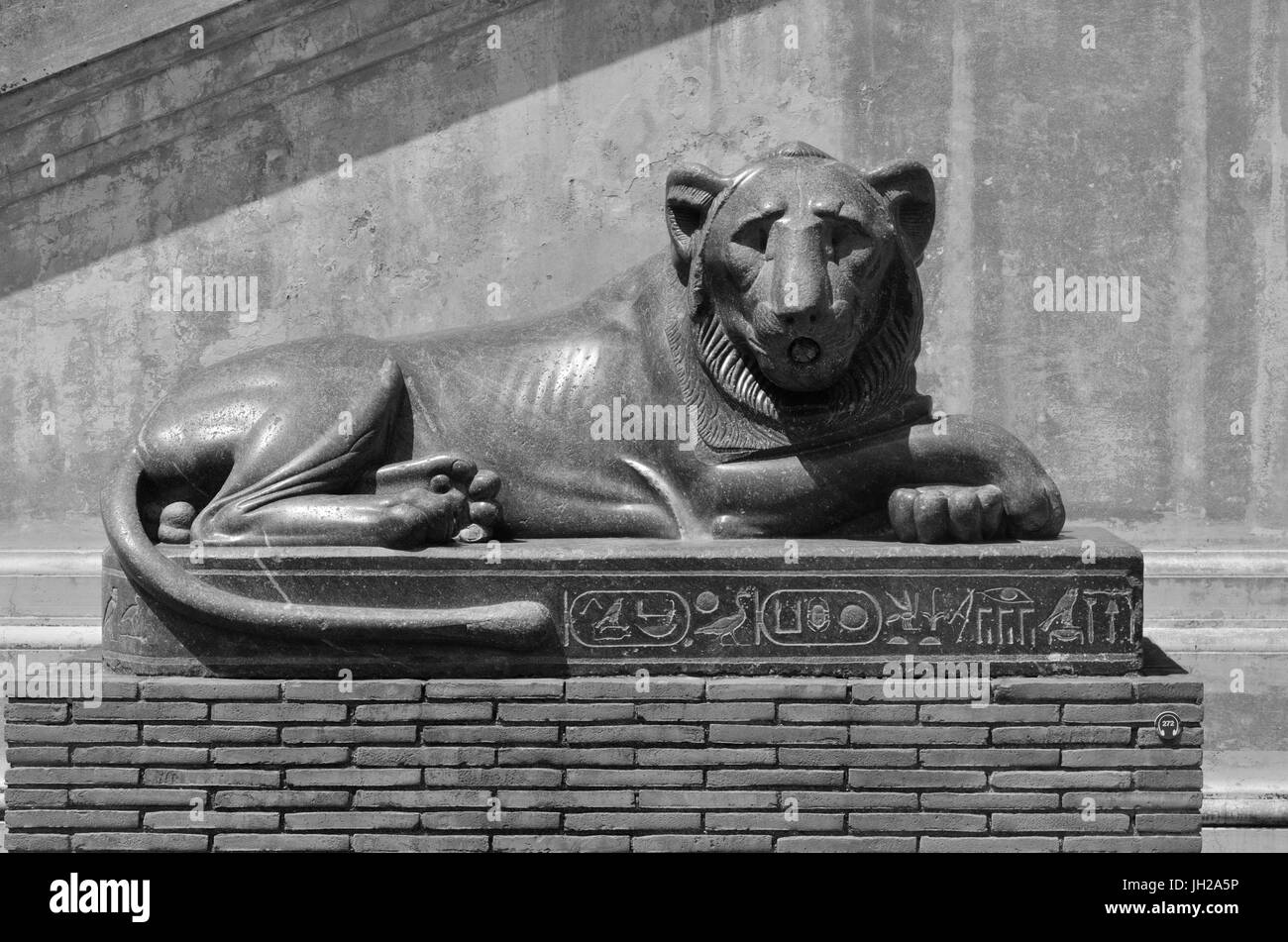 L'une des deux statues de basalte lion couché faite pour le pharaon Nectanebo I, près de Fontana della Pigna, ancienne fontaine romaine du Vatican, de l'Europe Banque D'Images