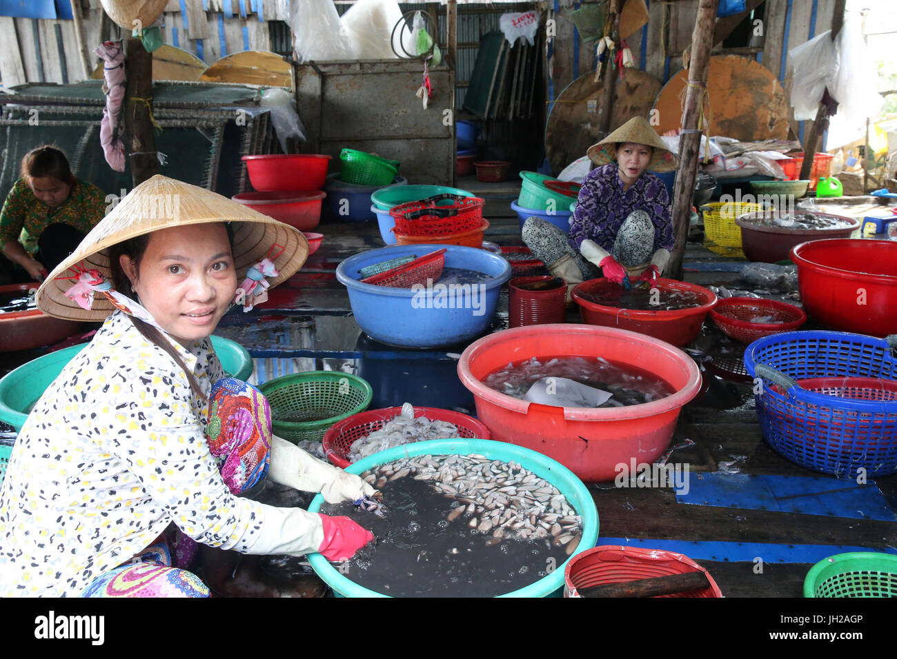 Vung Tau marché aux poissons. Les femmes trier par prise de poissons frais. Le Vietnam. Banque D'Images