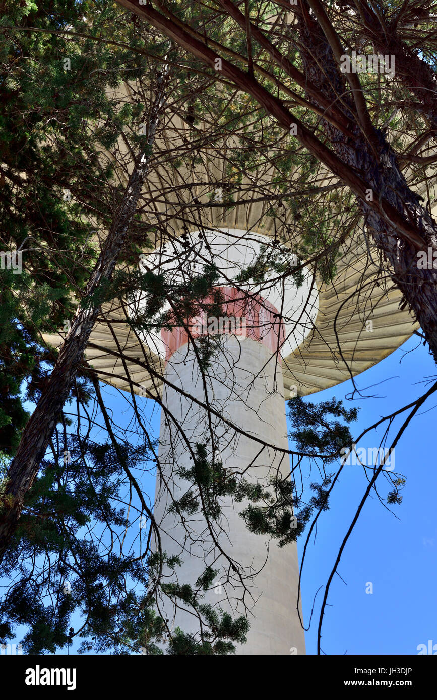 En forme de soucoupe d'eau de béton derrière des arbres à Latina, dans la région du Latium, dans le centre-sud de l'Italie Banque D'Images