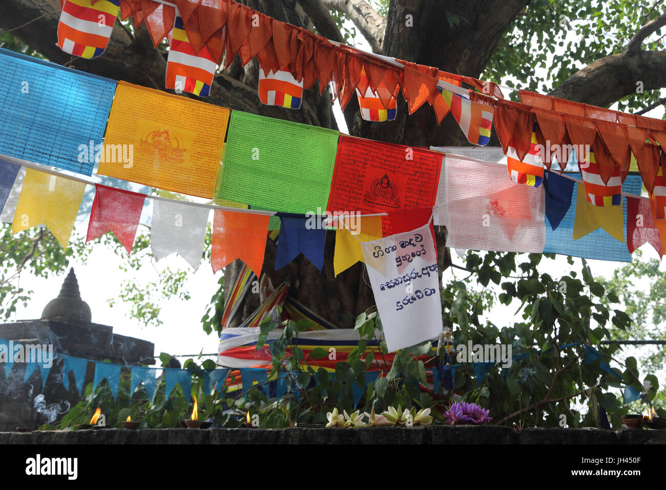 Dambulla Sri Lanka Golden Temple les drapeaux de prières autour de l'arbre Bo Banque D'Images Dambulla Sri Lanka Golden Temple les drapeaux de prières autour de l'arbre Bo Banque D'Images