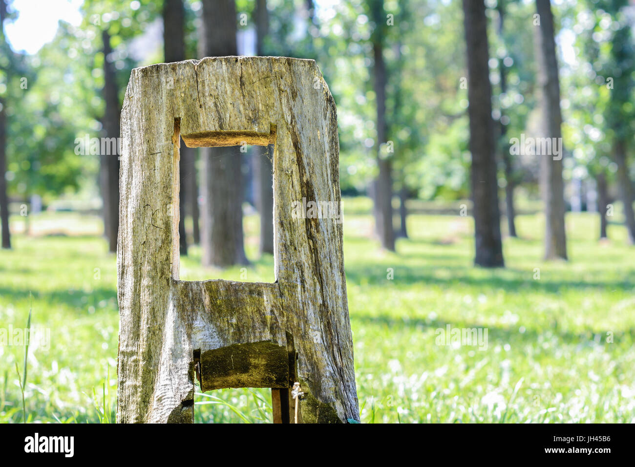 Stump dans le parc. Banque D'Images