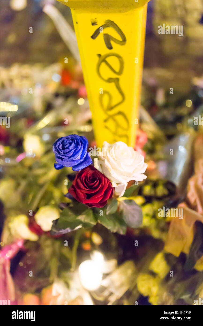 Blue roses blanches et rouges, les couleurs françaises emblématiques. Hommage aux victimes des attaques terroristes à Paris le 13 novembre 2015. Banque D'Images