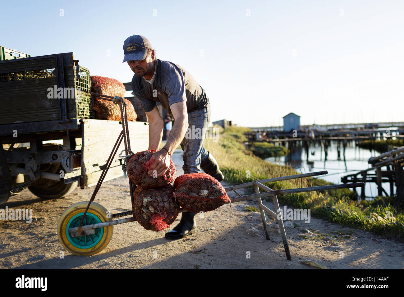 L'organisation de pêcheurs de prises quotidiennes dans son port de Carrasqueira Parc Naturel, le fleuve Sado, Alcacer do Sal, Setubal, Portugal. Banque D'Images