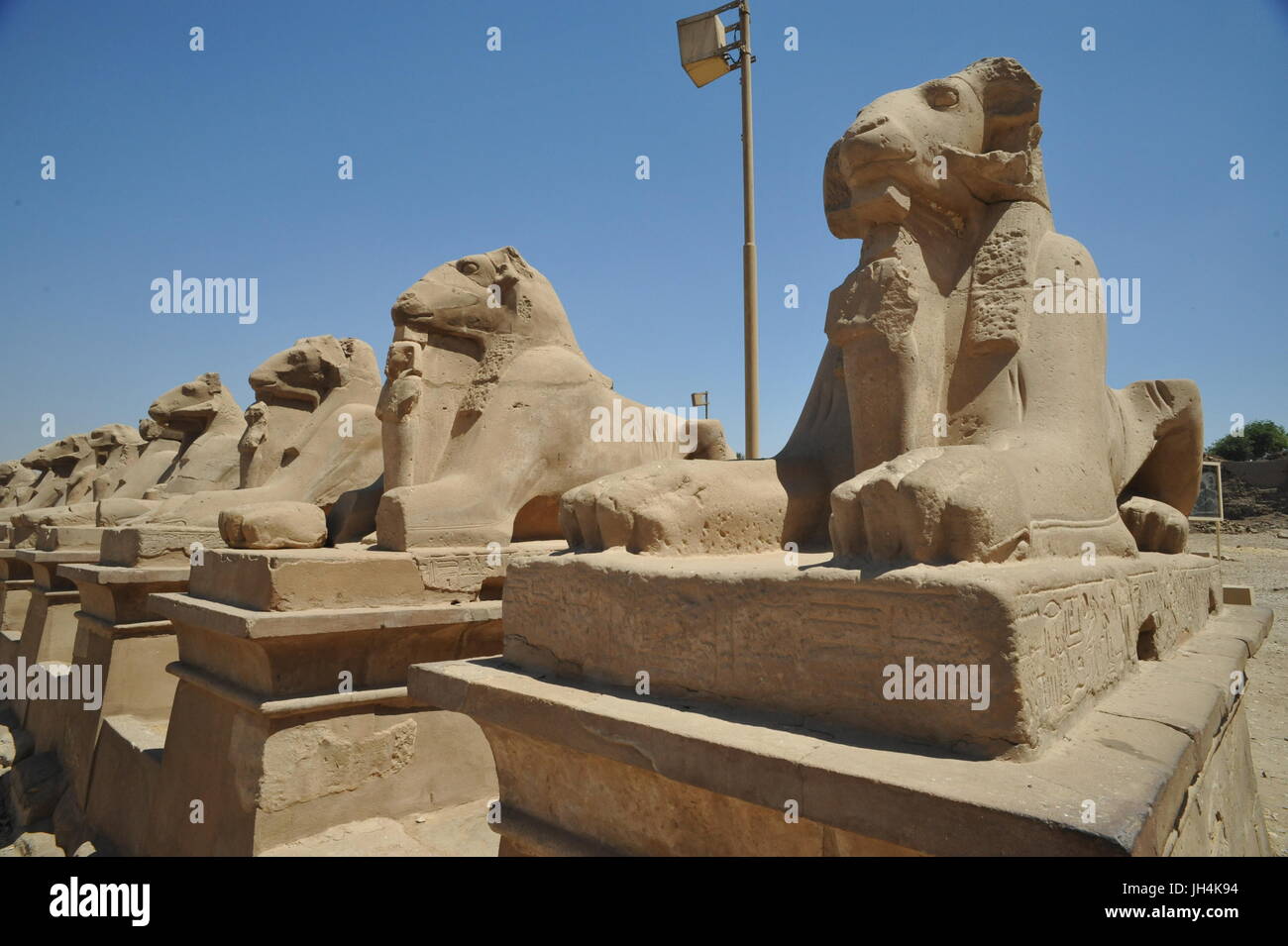 Sphinx Karnak Dieux et béliers Banque D'Images