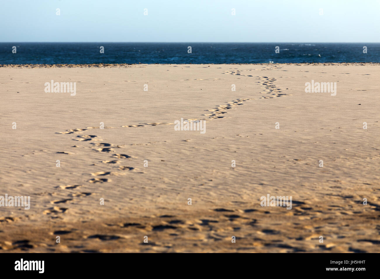 Des traces de pas dans le sable sur une plage d'été s'enroulant vers le bleu profond de l'océan et l'horizon lointain. Banque D'Images