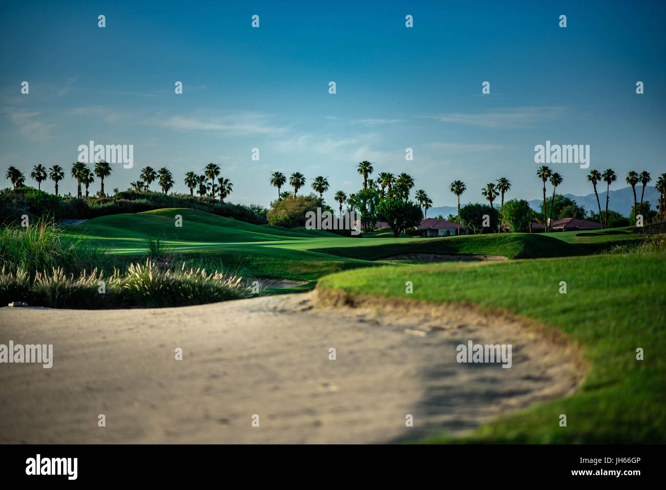 Golf avec trappe de sable à Palm Springs, Californie Banque D'Images