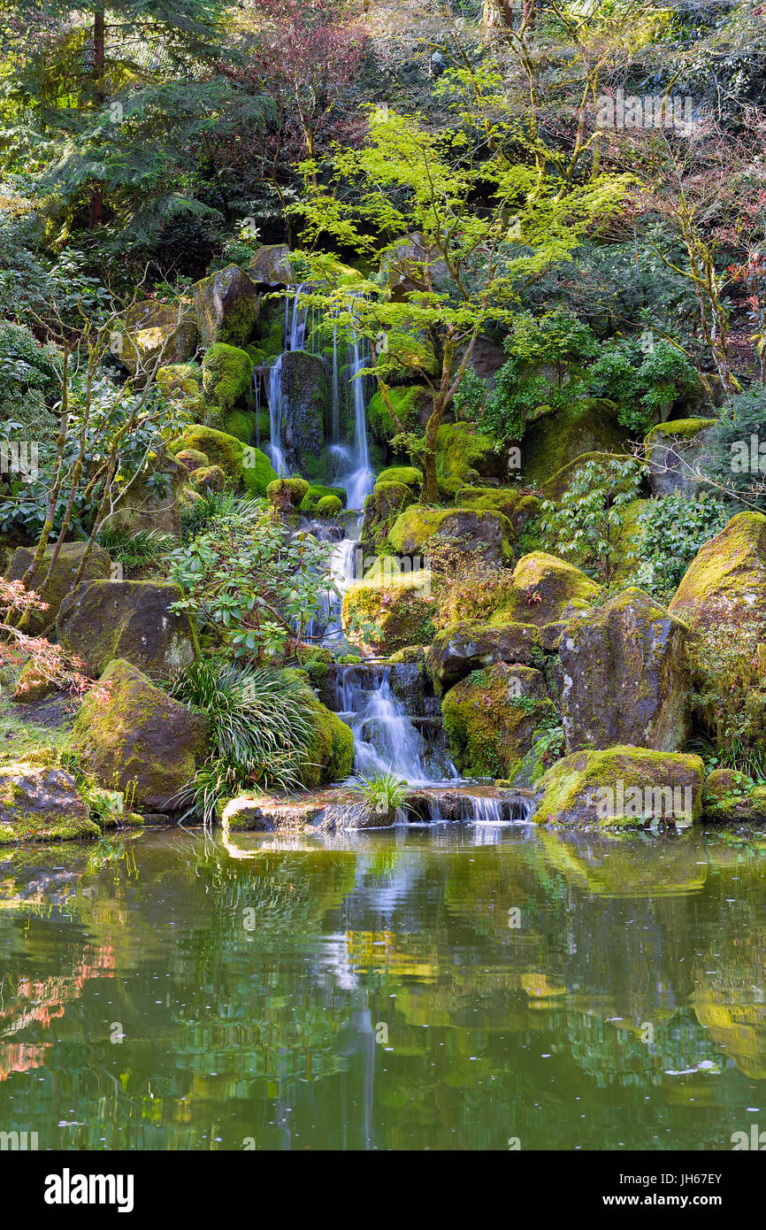 Tombe du ciel dans le jardin japonais de Portland lors de la saison du printemps Banque D'Images