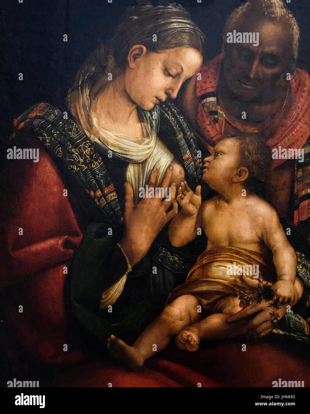 La Sainte Famille, vers 1490 - Luca Signorelli Banque D'Images