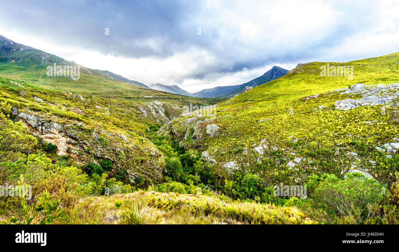 Franschhoek Pass dans le Middagskransberg entre le Franschhoek Valley et les montagnes de Wemmershoek dans la province du Cap-Occidental en Afrique du Sud Banque D'Images