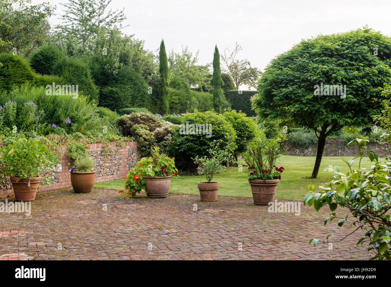 Plantes en pot dans le jardin Banque D'Images