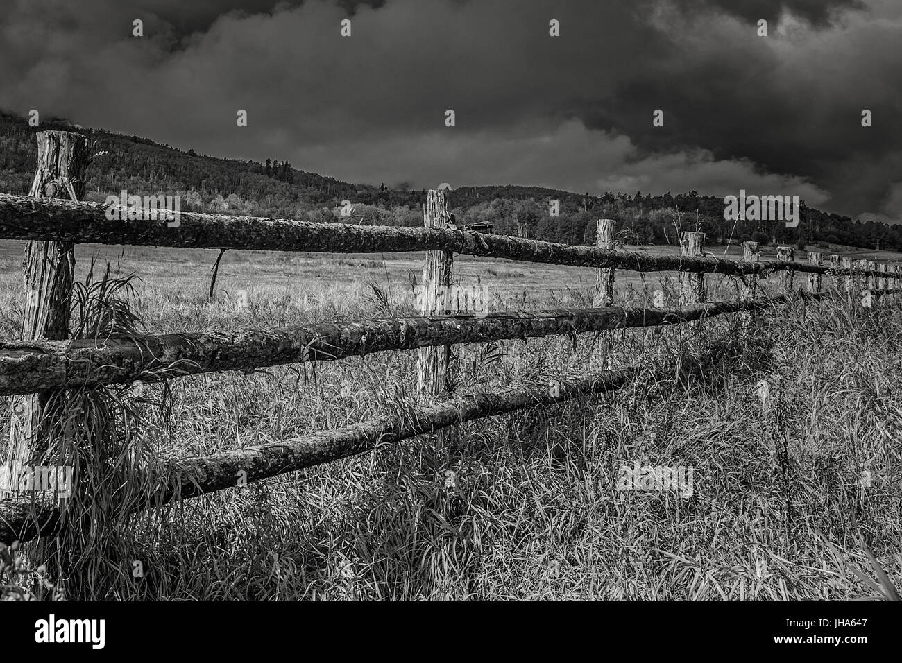 Snowmass, Colorado, USA. Août 27, 2015. Une tempête de pluie Owl approches Creek Road Crédit : Alex Edelman/ZUMA/Alamy Fil Live News Banque D'Images