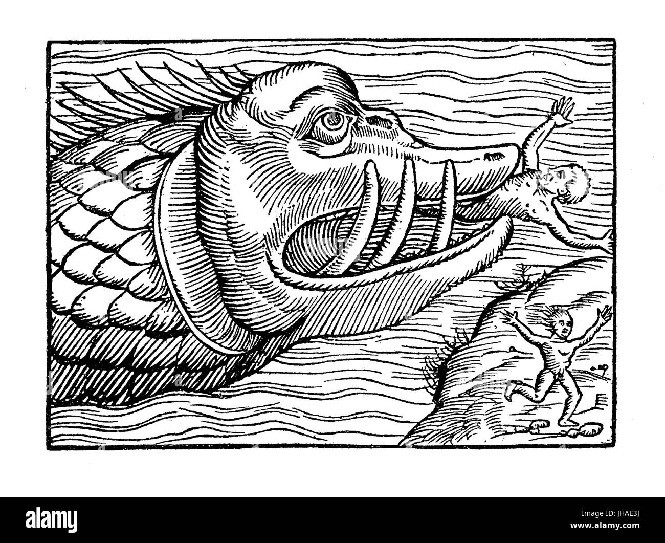 Monstre de mer manger l'homme, gravure médiévale, l'année 1550 Banque D'Images