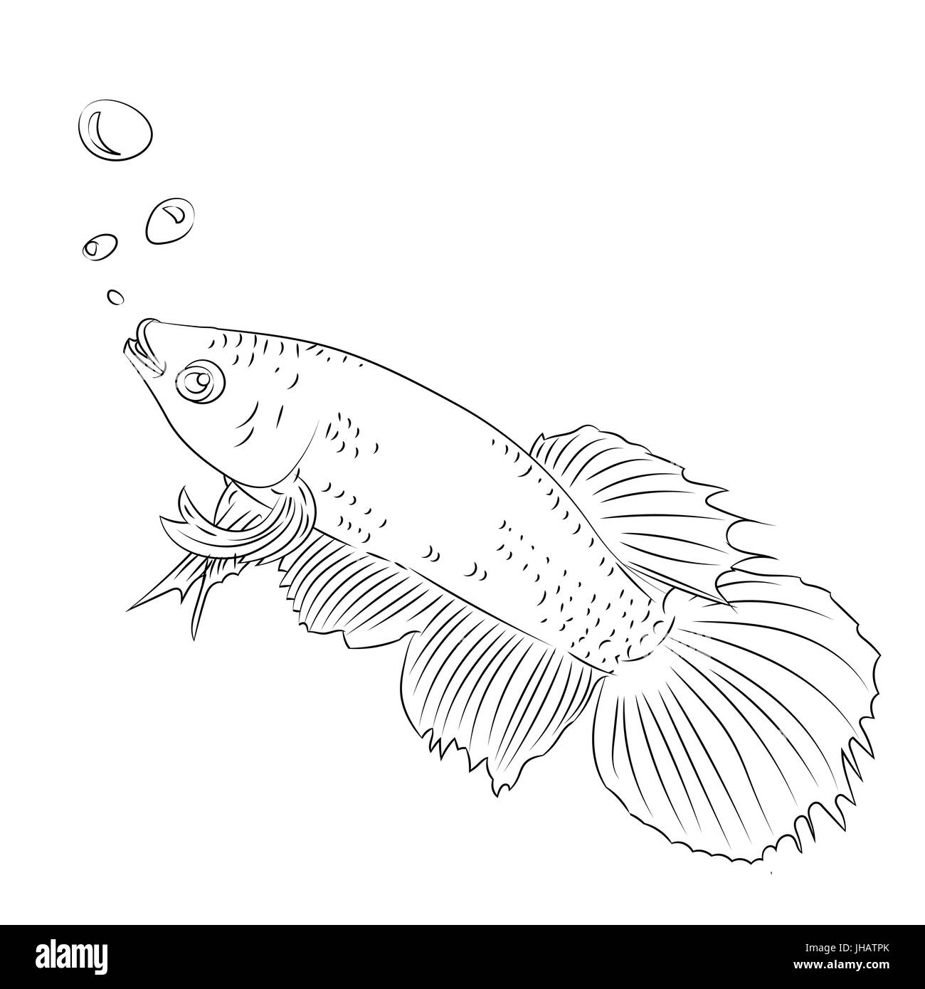 Croquis dessinés à la main, de lutte poisson isolé, Cartoon Cartoon noir et blanc Illustration vectorielle pour Coloring Book - Ligne dessinée Vector Illustration de Vecteur