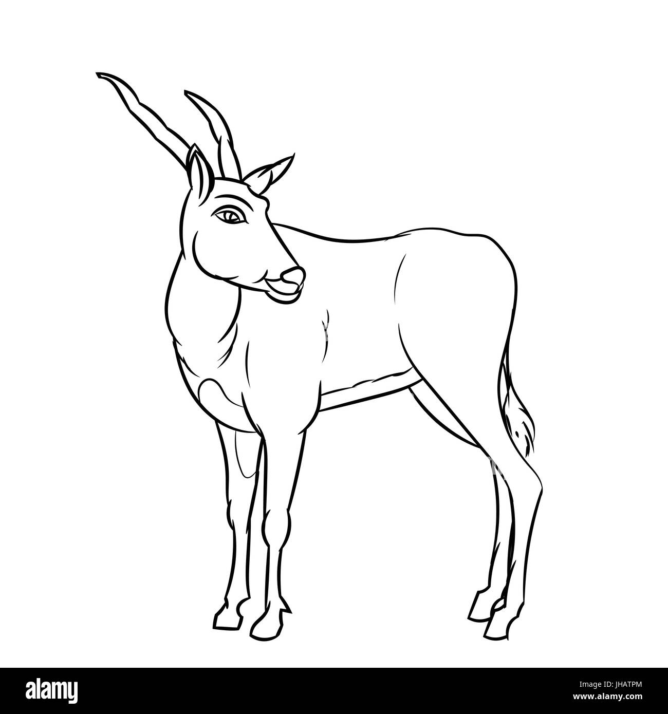 Croquis dessinés à la main, d'Impala Deer, isolé Cartoon Cartoon noir et blanc Illustration vectorielle pour Coloring Book - Ligne dessinée Vector Illustration de Vecteur