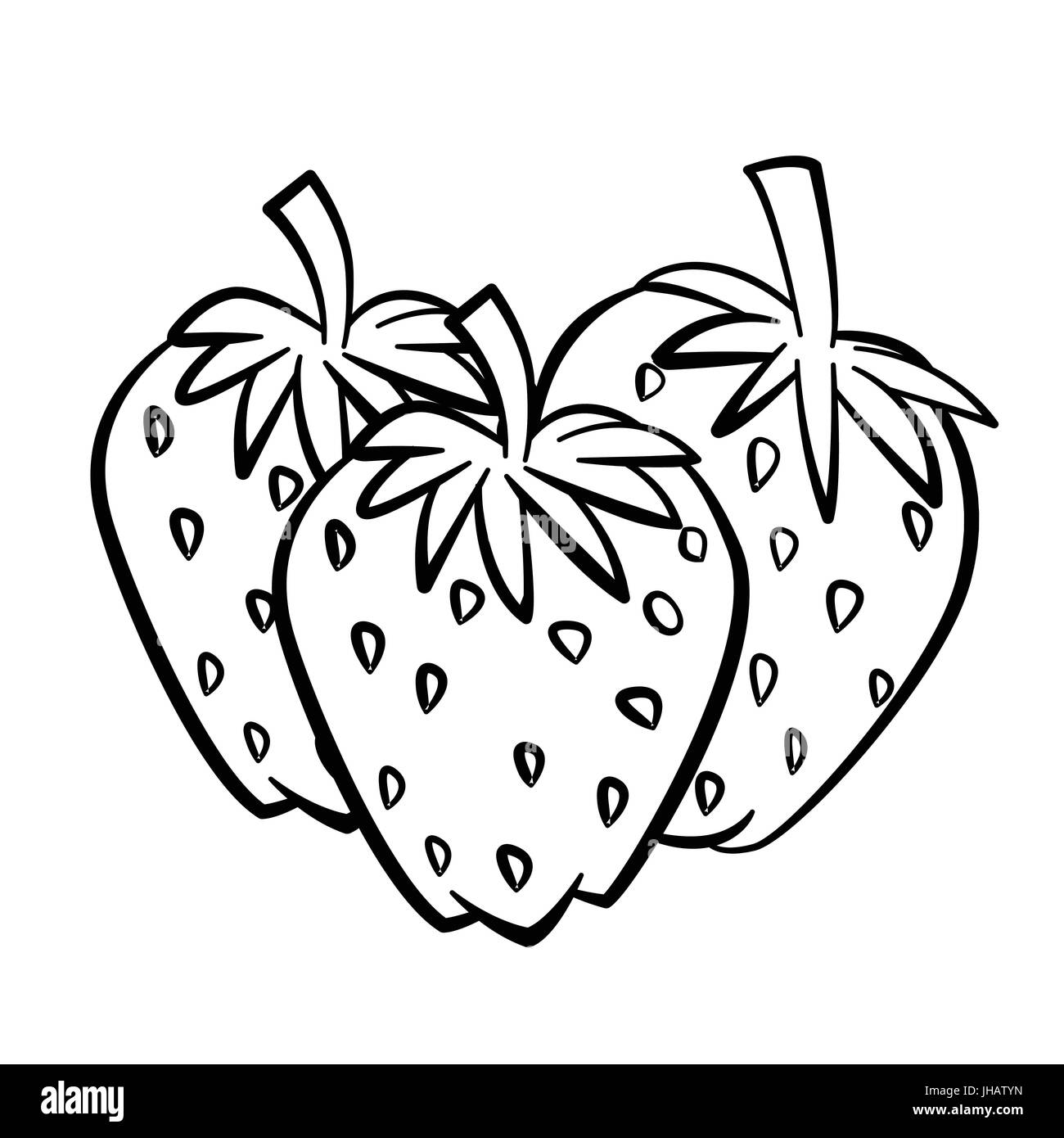 Croquis dessinés à la main, de la direction générale avec la fraise et de feuilles isolées, noir et blanc Cartoon Vector Illustration pour Livre à colorier - Ligne dessinée Vector Illustration de Vecteur
