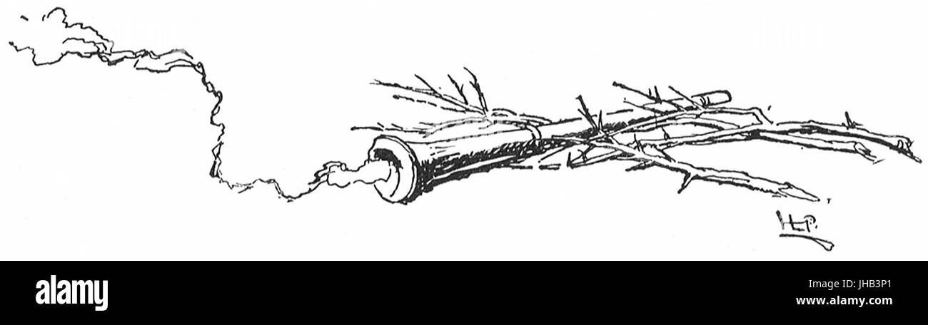 Howells, arrête de divers Quills, 1895 017 un grand c Banque D'Images