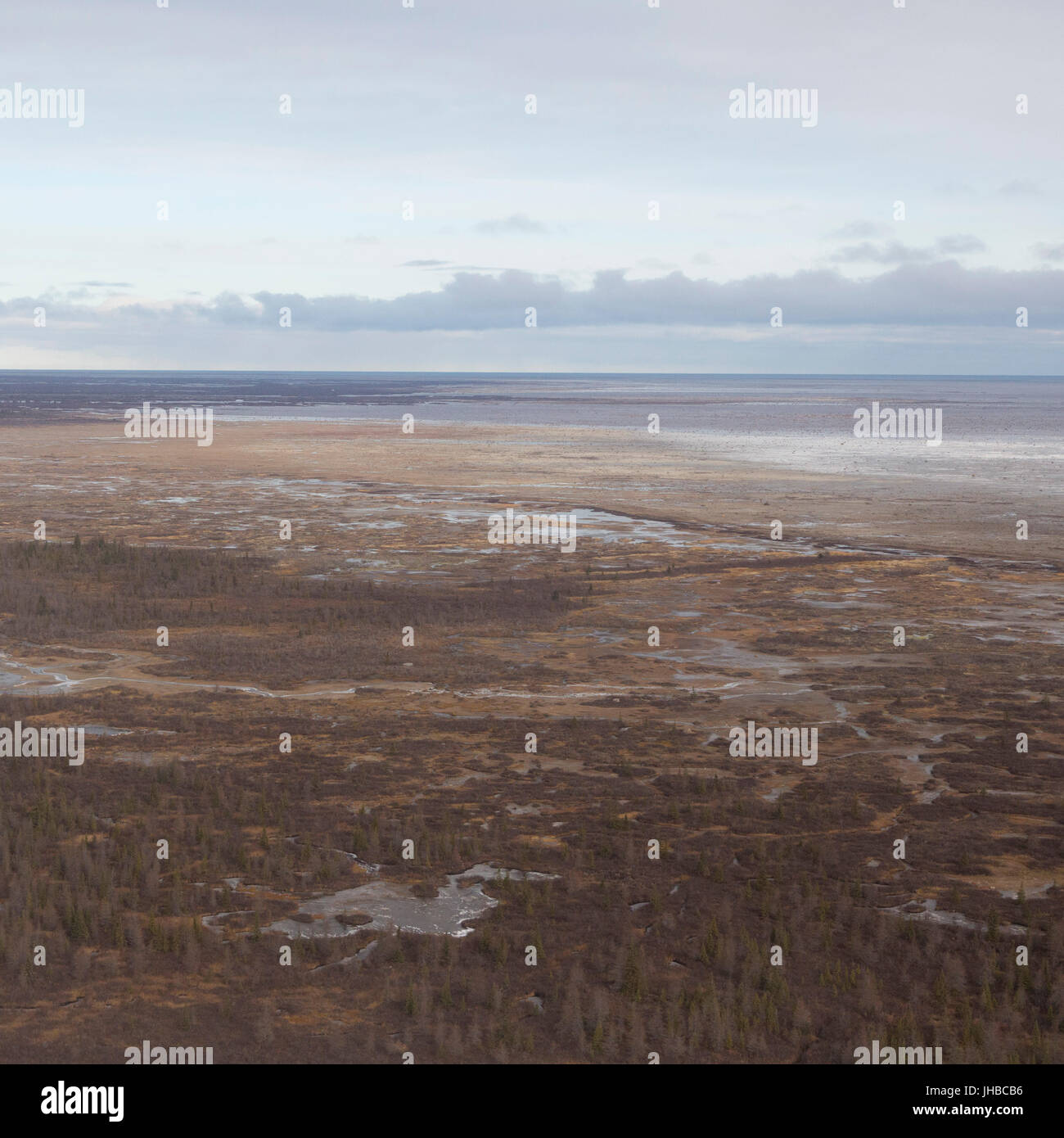 Le littoral semi-gelés de la Baie d'Hudson au nord de Churchill au Manitoba, Canada. Banque D'Images