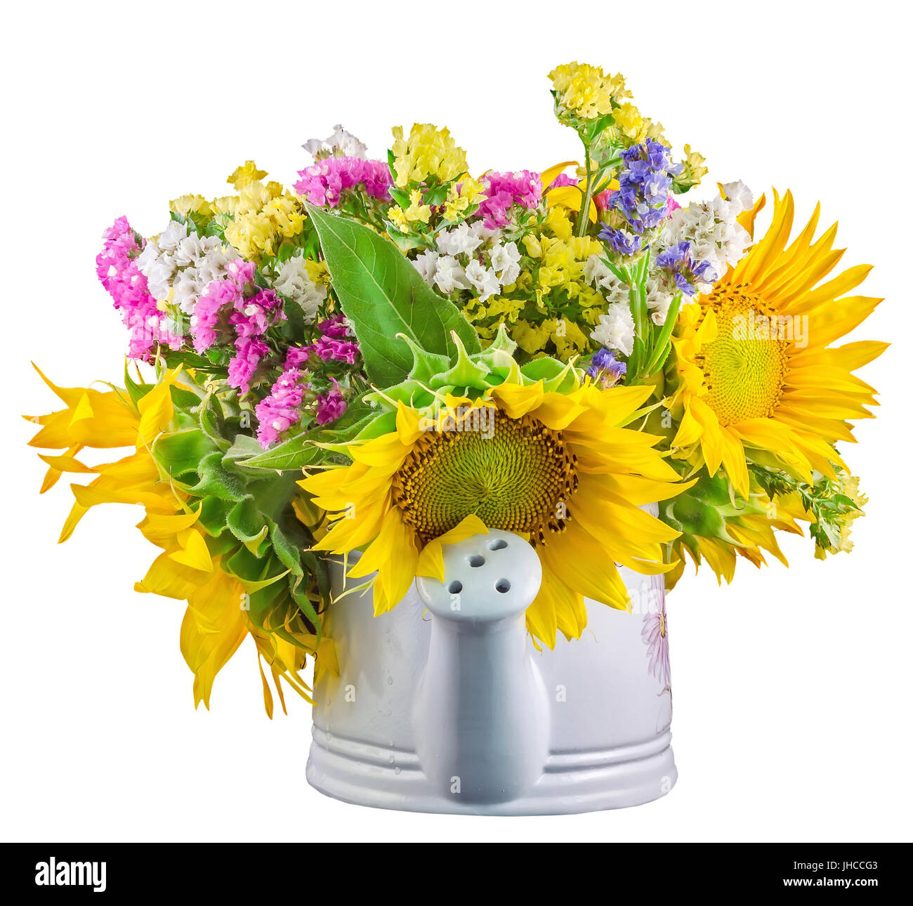 Couleur jaune tournesol et fleurs sauvages dans un livre blanc, sprinkleur arrosoir, Close up, isolé, décoration Banque D'Images