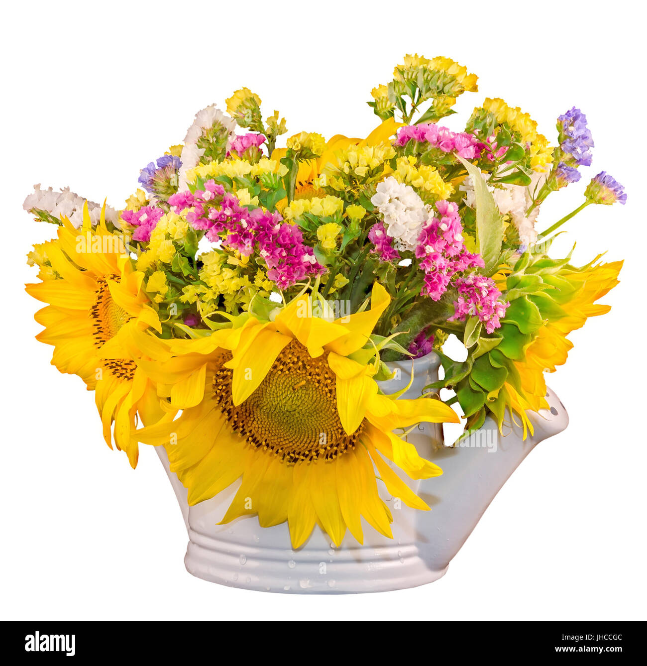 Couleur jaune tournesol et fleurs sauvages dans un livre blanc, sprinkleur arrosoir, Close up, isolé, décoration Banque D'Images