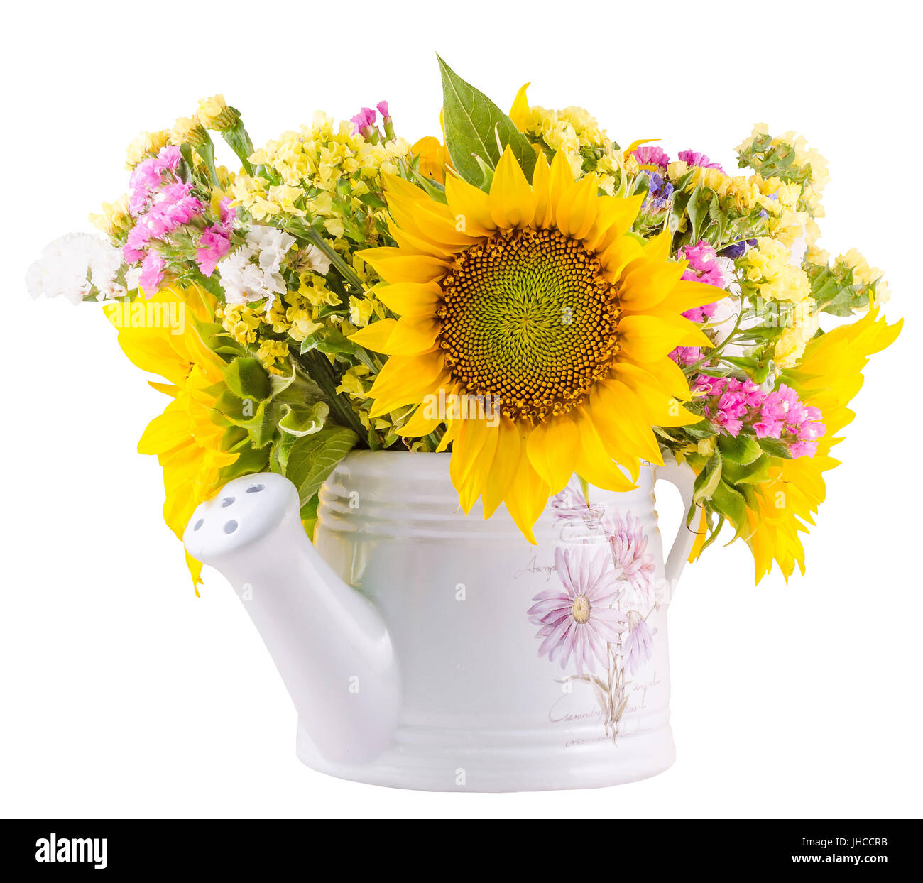 Couleur jaune tournesol et fleurs sauvages dans un livre blanc, sprinkleur arrosoir, Close up, isolé, décoration Banque D'Images