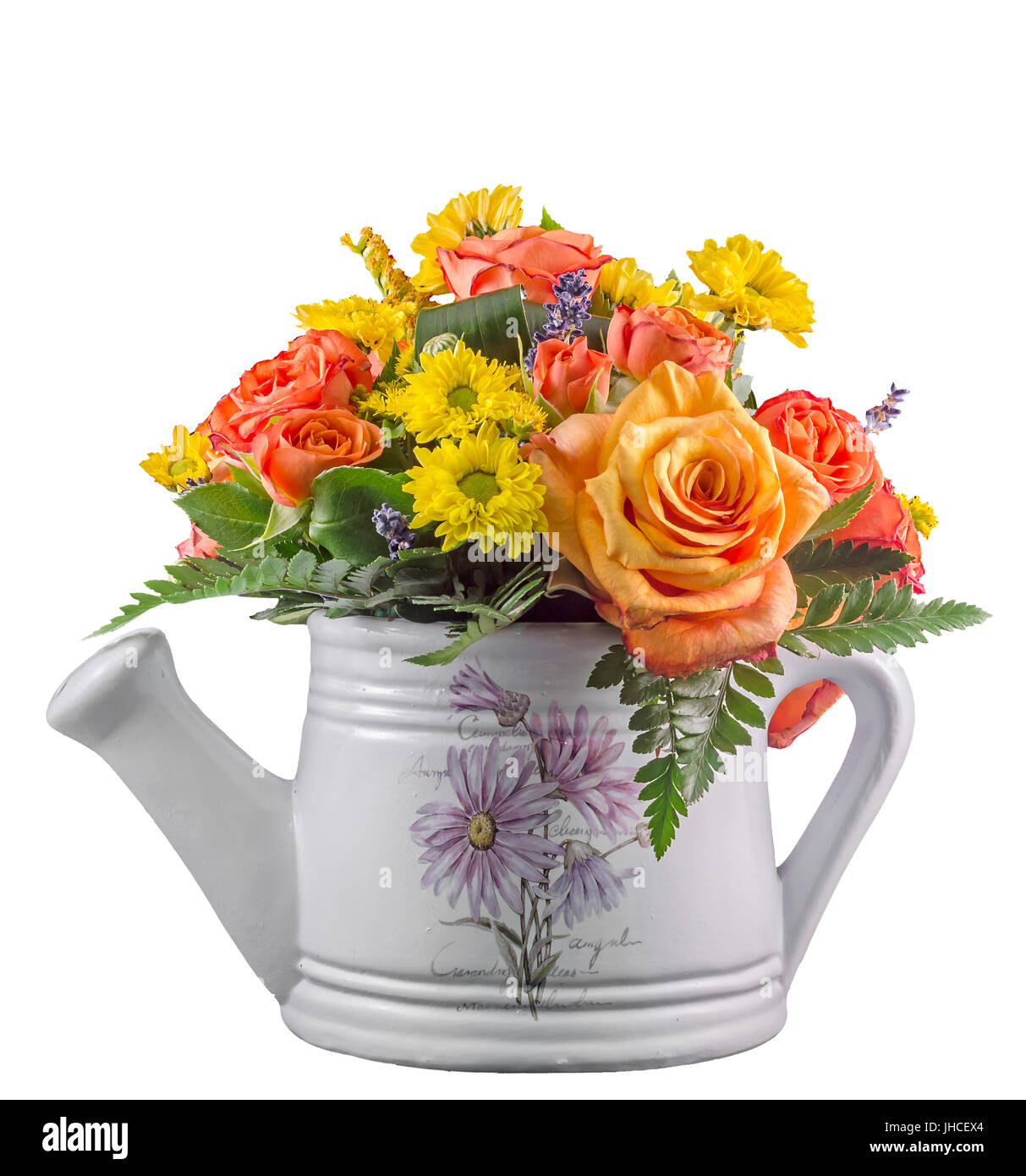 Des fleurs aux couleurs vives, roses orange, dans un livre blanc, sprinkleur arrosoir, isolés, Close up Banque D'Images