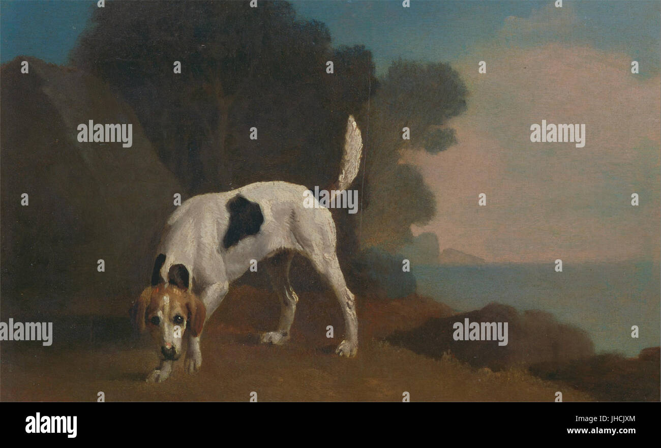 George Stubbs - Foxhound - Banque D'Images