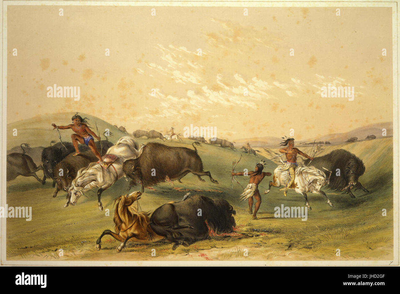 George Catlin - Chasse au bison, un groupe nombreux Banque D'Images