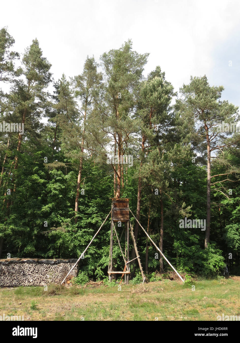 20150513Hochsitz1 Banque D'Images