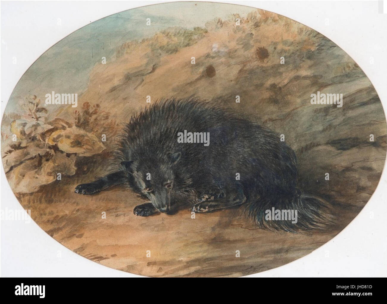 "Une étude d'un chien noir' par Sawrey Gilpin, Aquarelle et crayon Banque D'Images