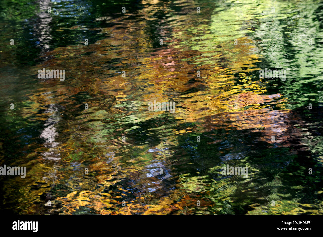 En miroir des arbres dans l'eau, en Rhénanie du Nord-Westphalie, Allemagne | Baeume spiegeln sich im Wasser, Nordrhein-Westfalen, Deutschland Banque D'Images