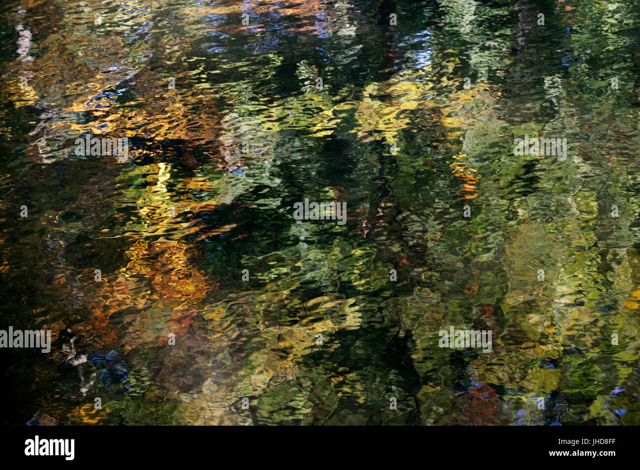 En miroir des arbres dans l'eau, en Rhénanie du Nord-Westphalie, Allemagne | Baeume spiegeln sich im Wasser, Nordrhein-Westfalen, Deutschland Banque D'Images