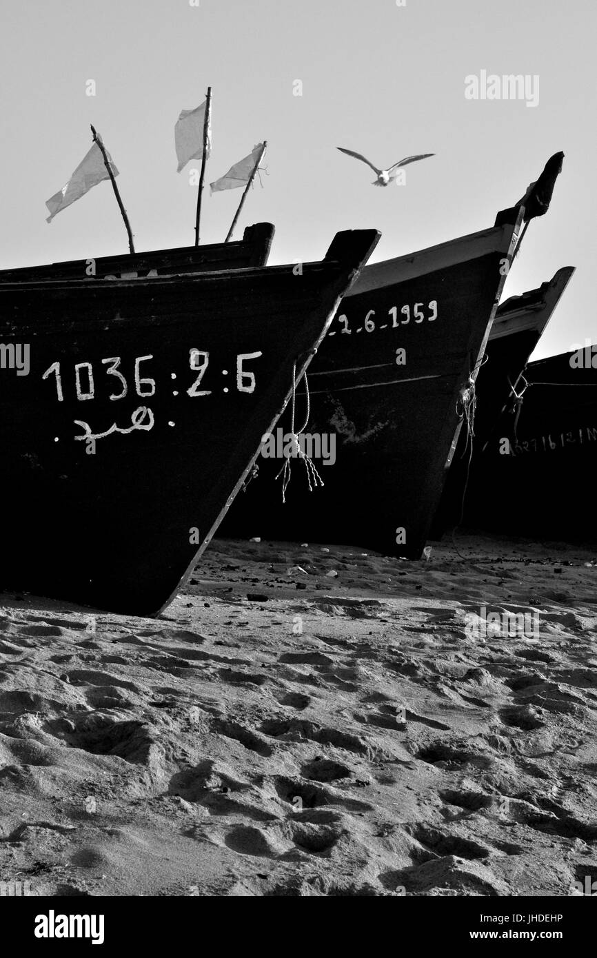 Les bateaux de pêche traditionnels avec des drapeaux à la palangre dans le sable de mer échoués à Oualidia plage au coucher du soleil (El Jadida, Maroc), Casablanca-Settat Banque D'Images
