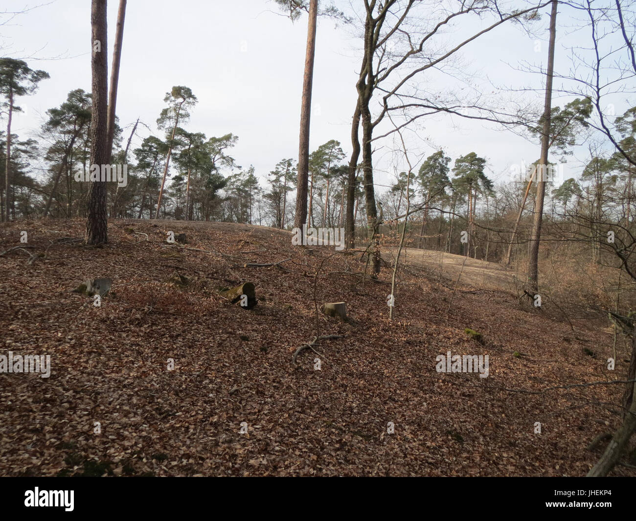 20150308Saupferchbuckel07 Banque D'Images