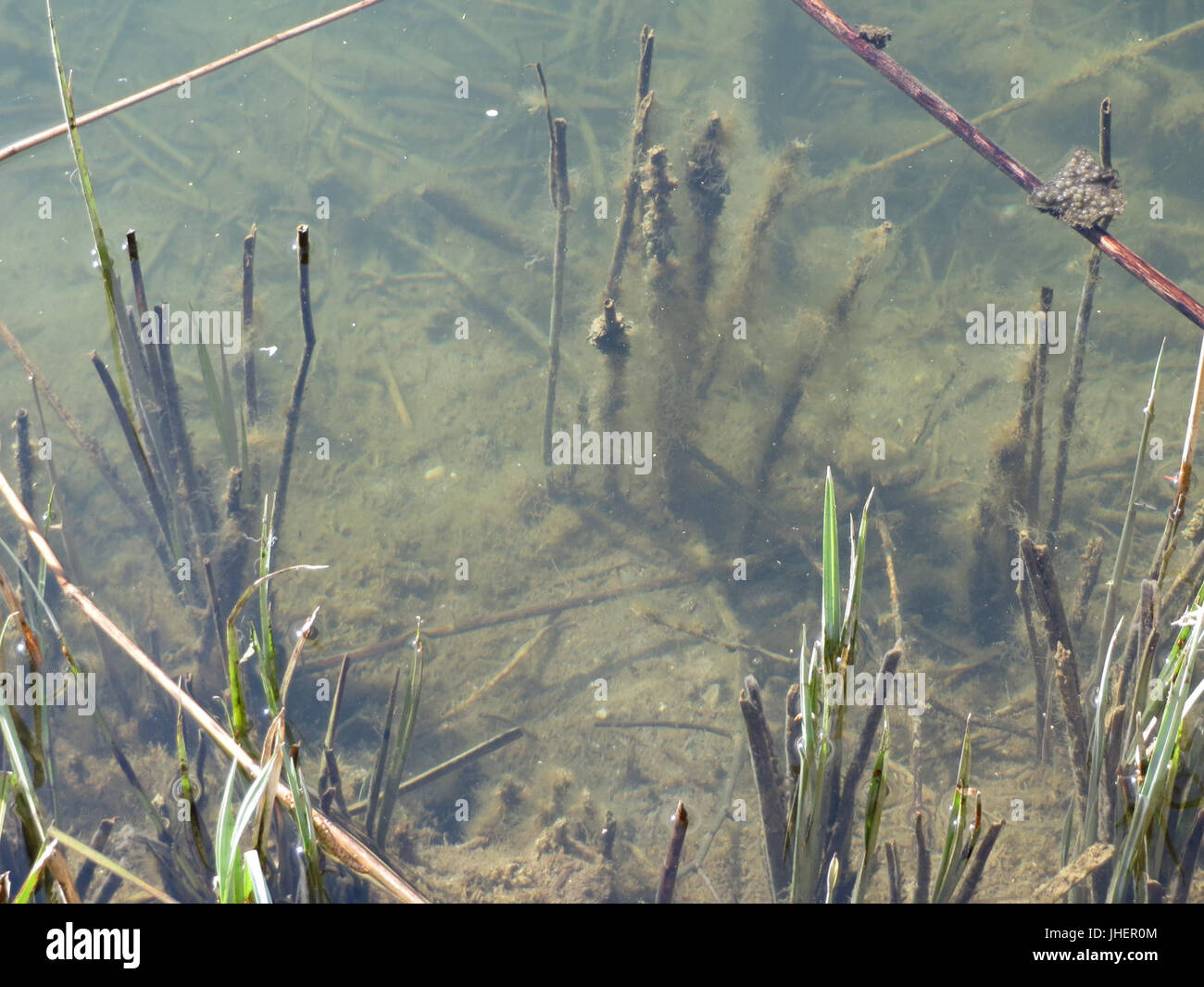 201504192 Erlichsee Banque D'Images