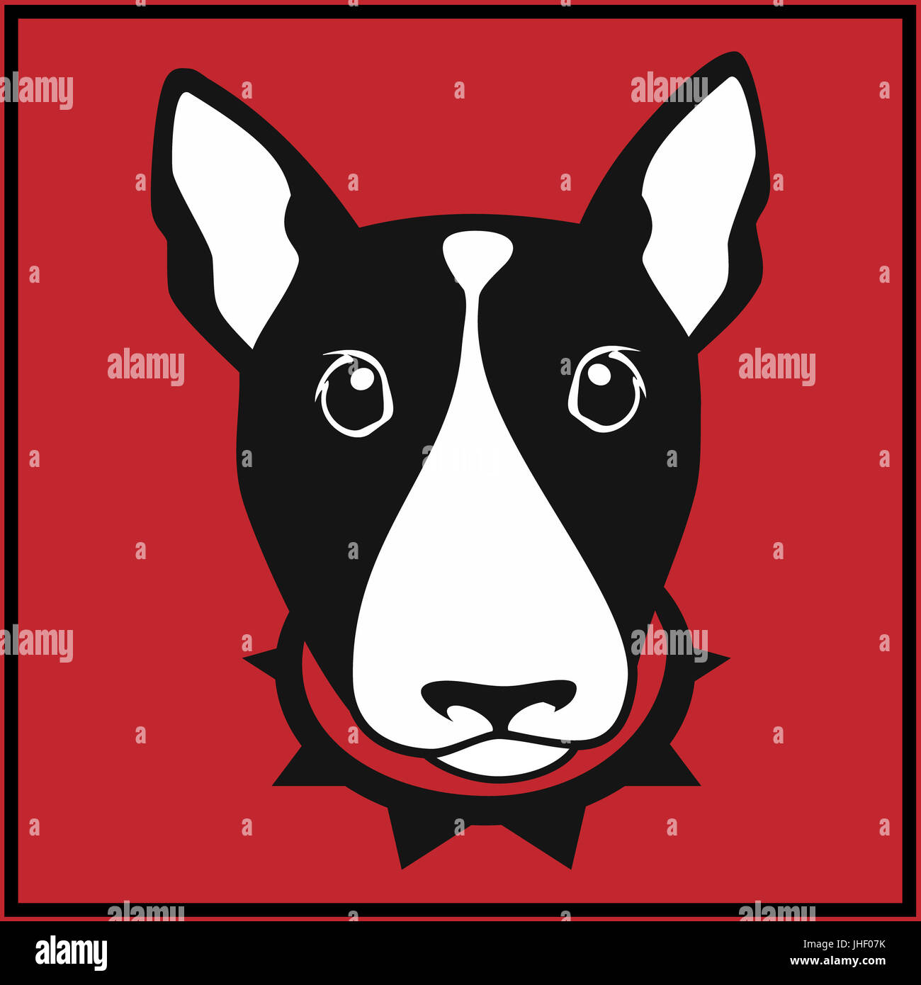 Cute bull terrier avec collier de chien sur fond rouge Banque D'Images