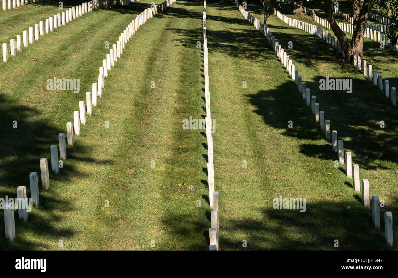 Rangées de pierre tombale dans le cimetière d'Arlington Banque D'Images