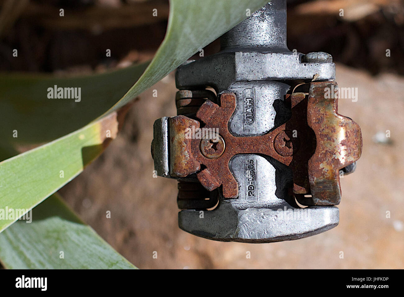 2015-365-258 Clip dans et sur la pédale (20837888583) Banque D'Images