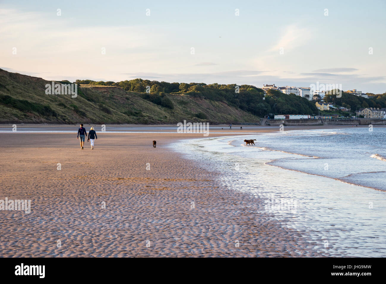 Couple promènent leurs chiens sur la plage de St Francis Bay, North Yorkshire, Angleterre. Banque D'Images