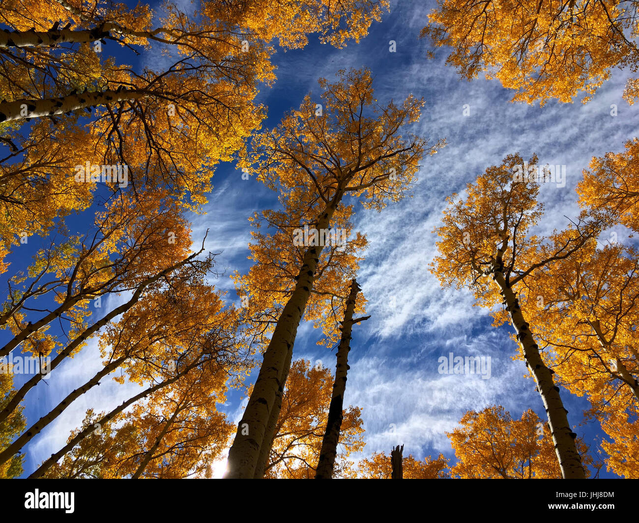 2016-366-286 Dans le ciel (30293646545) Banque D'Images