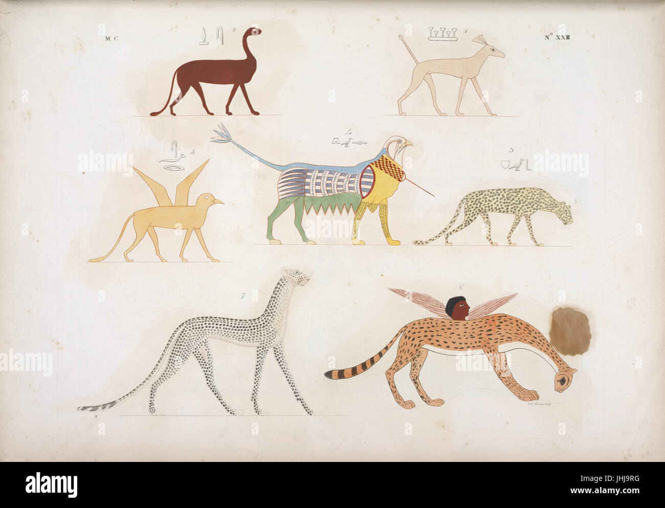 Animali fantastici (NYPL b14291206-425513) Banque D'Images