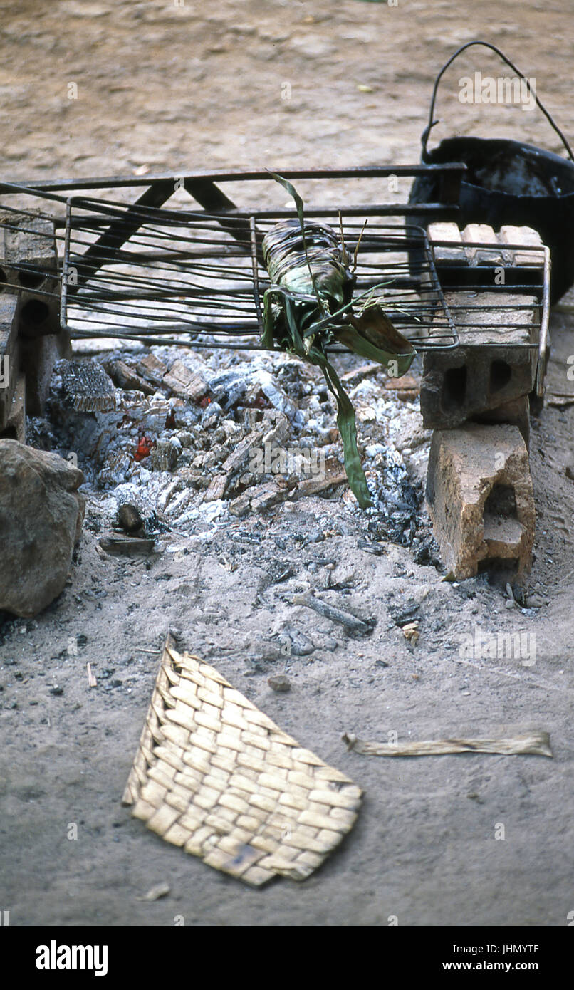 L'alimentation des populations autochtones, du poisson cuit au four sur le grill, Porto Velho, Rondônia, au Brésil Banque D'Images